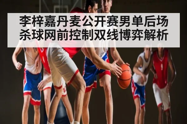 李梓嘉丹麦公开赛男单后场杀球网前控制双线博弈解析